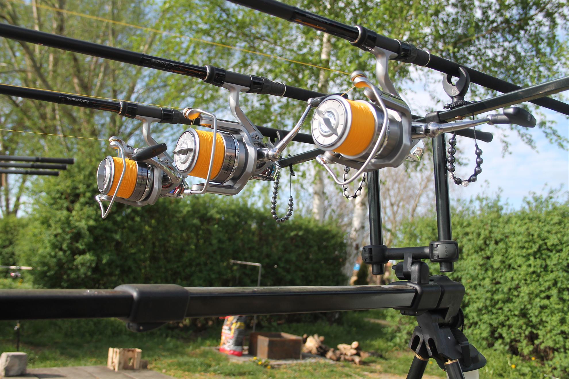 My new passion...3 - nagykallo-aprilie2013-666.JPG